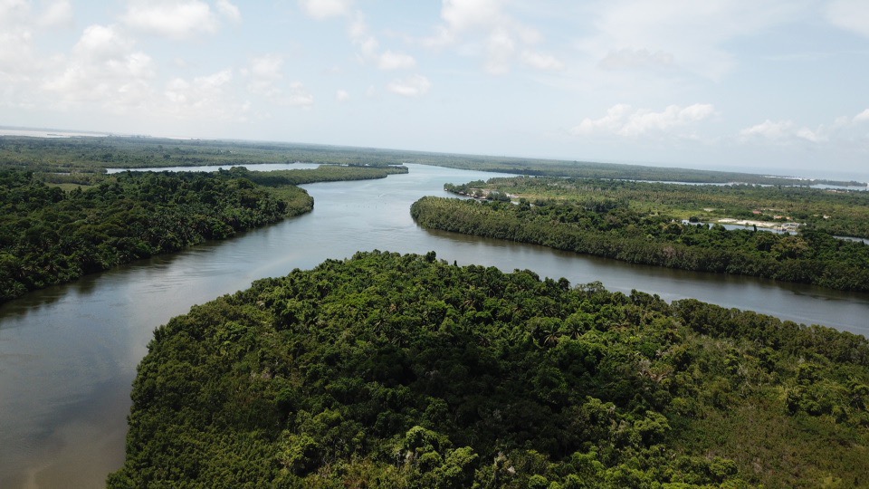Article : Les aires protégées en Côte d&rsquo;Ivoire, poumons de la biodiversité