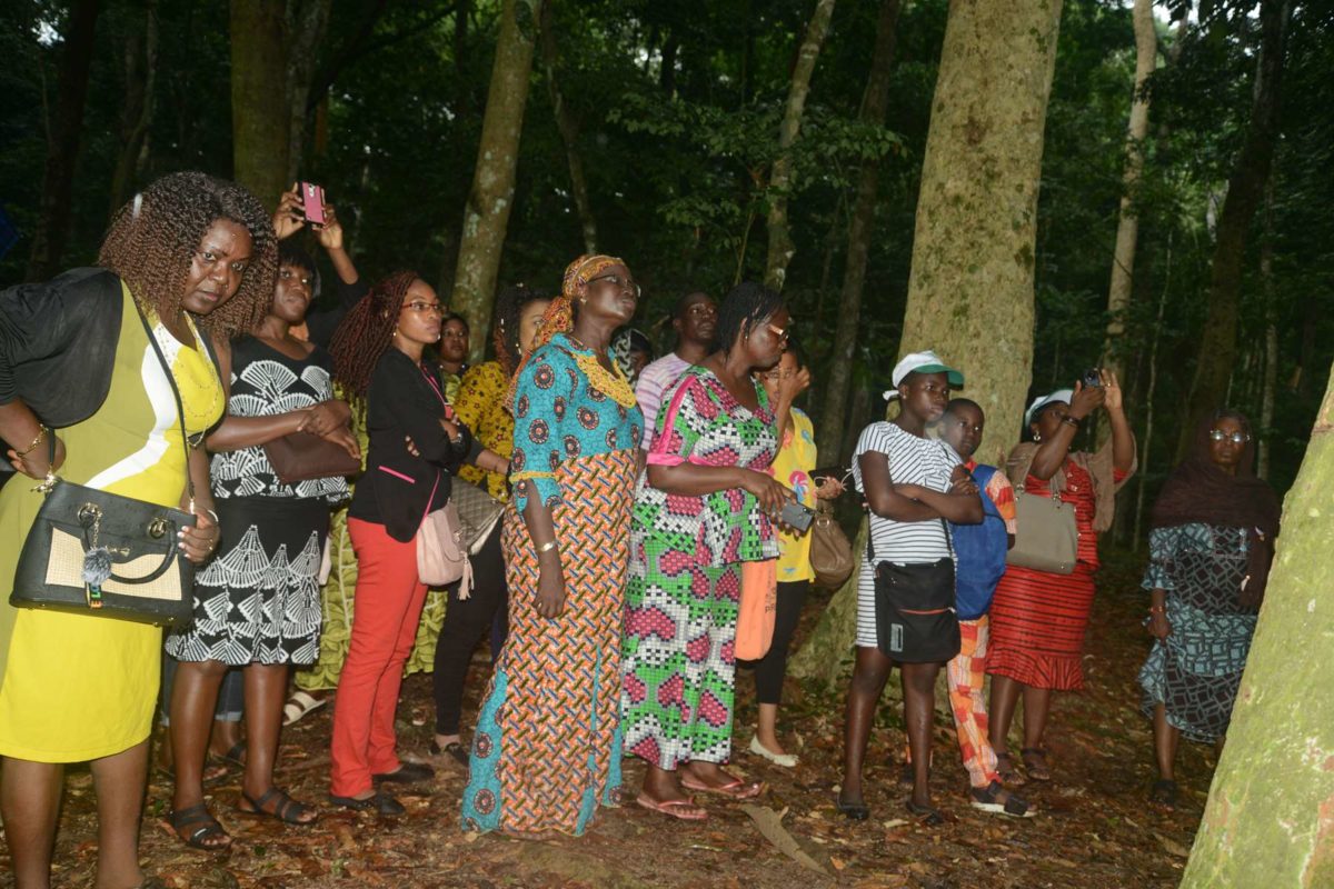 Article : Dossier/ Genre et changement climatique : Renforcer le secteur pour égrener plus d’impact sur le développement